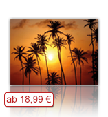Leinwanddruck Motiv Sonnenuntergang Palmen 002